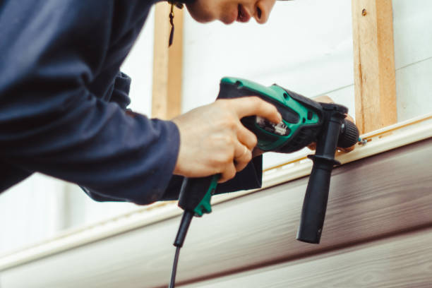 Best Vinyl Siding Installation  in Parks, AZ